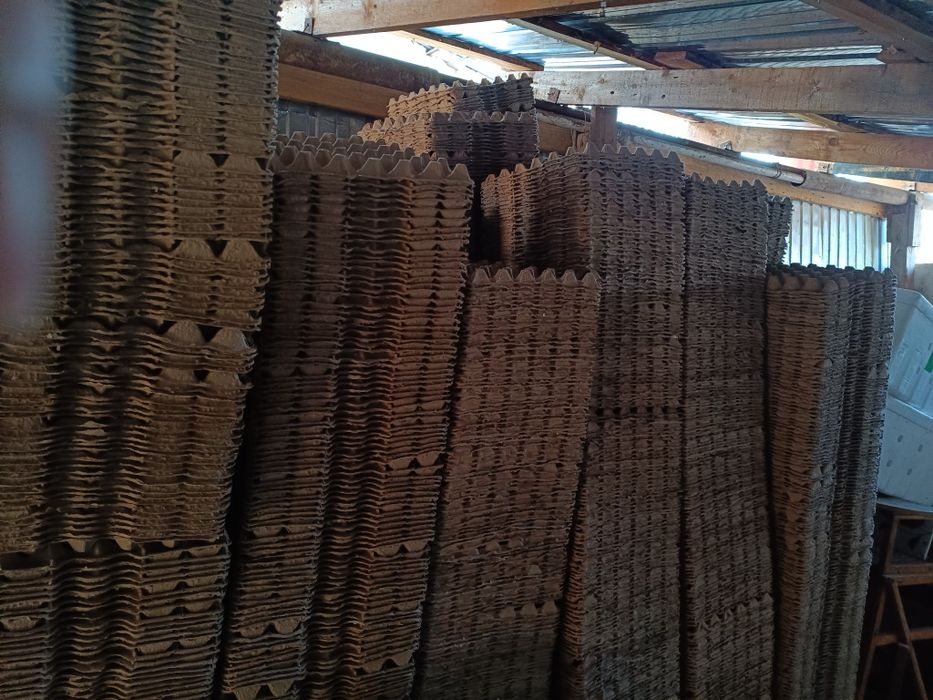 Лотки для Яиц в количестве 2000 шт