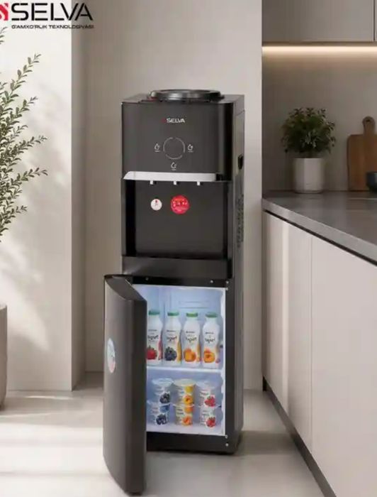 2 tasi 1 da: Ham suv, ham muzlatgich! SELVA Invertor Low Voltage kuler