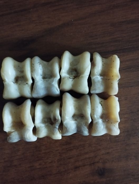 Альчики кости игровые