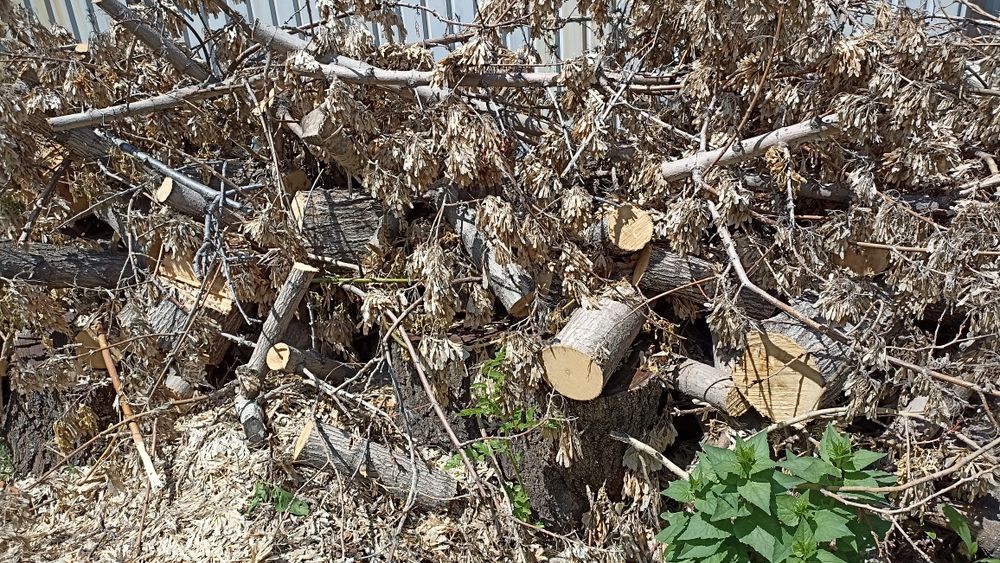 Продам дрова, Алатау (ИЯФ)