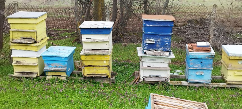 Пчелни кошери (празни сандъци)