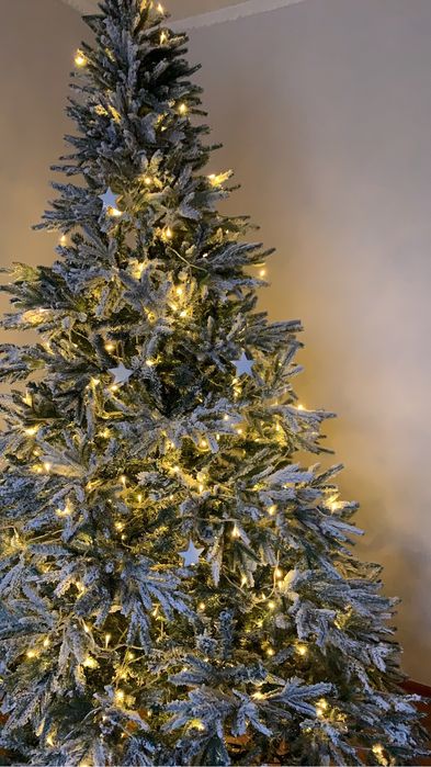 Елка в хорошем состоянии