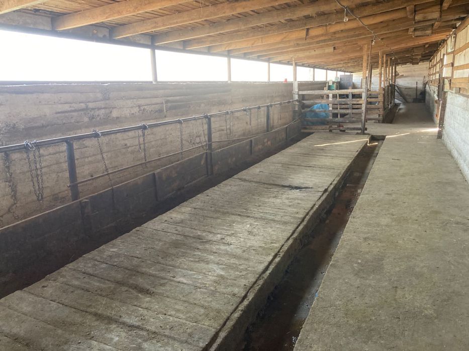 Крестьянское Хозяйство продам