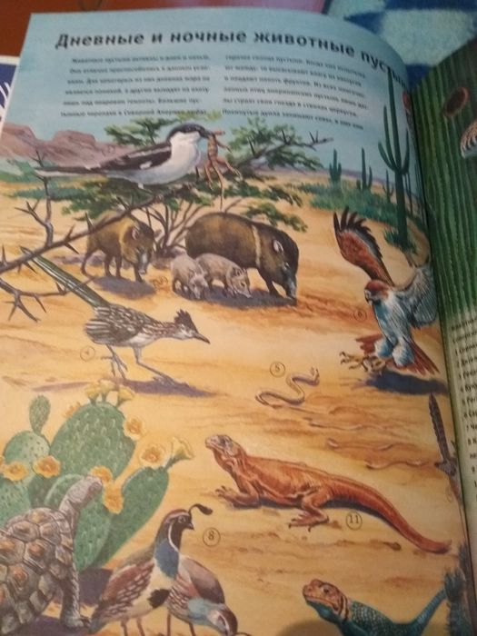 Продается книга