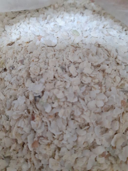 Отходы Отходы Полова овсяная россыпью