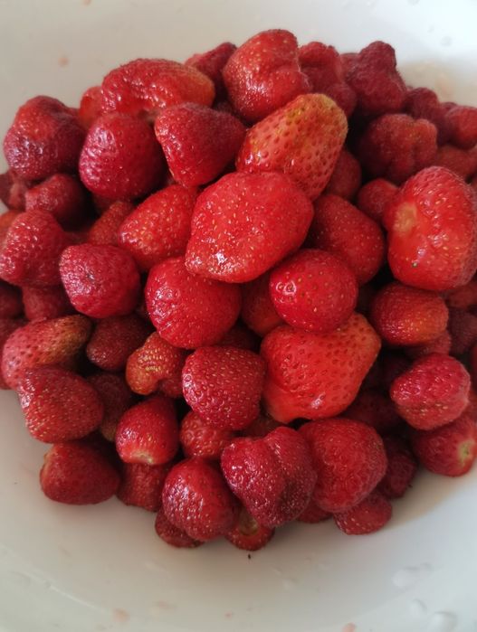 Продам клубнику домашнюю