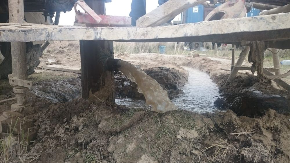 Крестьянское хозяйство
