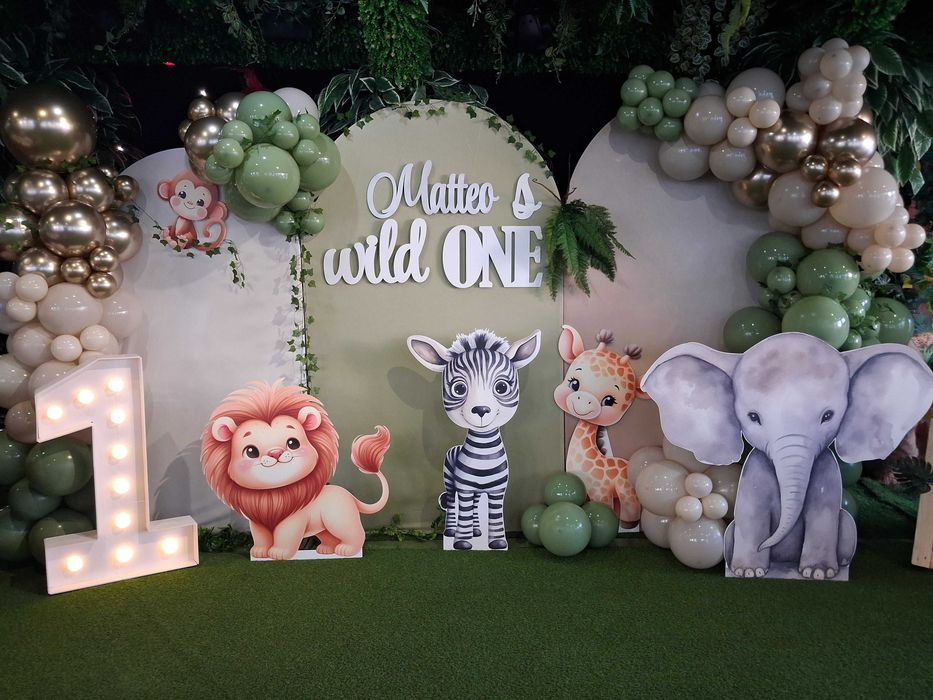 Arcada baloane botez Decor baloane Panou foto Gender reveal /aniversare heliu