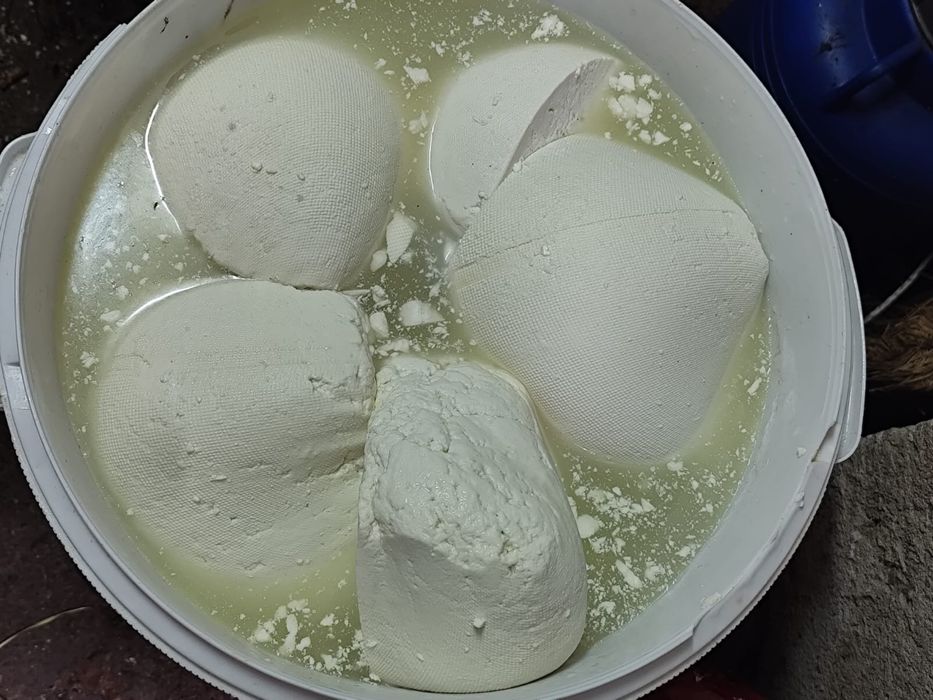 Vand branza de oaie ,35 lei kg,la cantitati mai mari pretul se negociaza