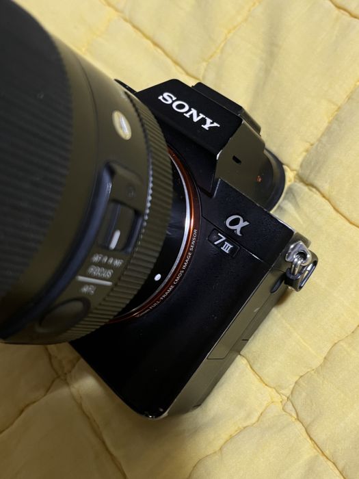 Sony a7III, Sigma 35mm и 50mm