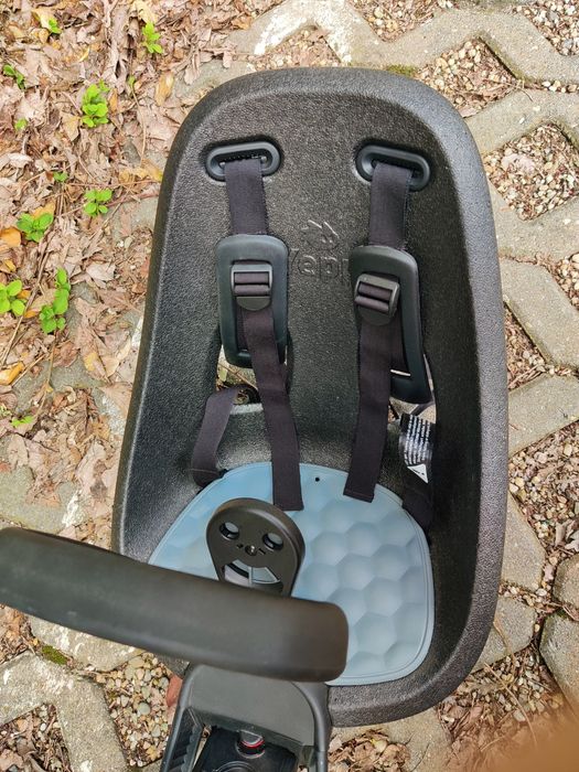 Scaun bicicleta copii Thule Yepp Nexxt 2 Mini