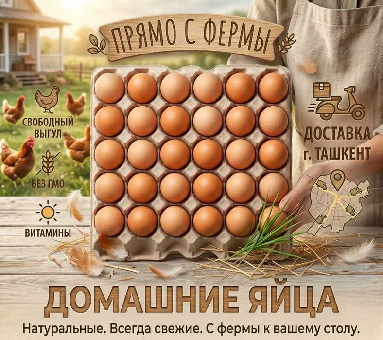 Домашние яйца с доставкой в Ташкент