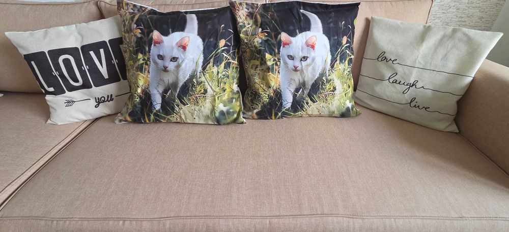 Set huse decorative pentru perne, model cu pisici,  50X50 cm