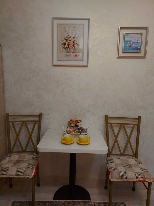 1 комн. Евро-Студия  ТРЦ"Москва"