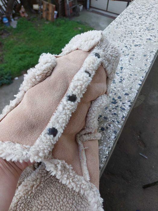 Дрех а за дребна порода куче