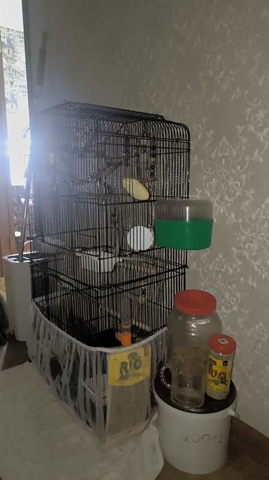 продам клетку большую для крупных и средних птиц