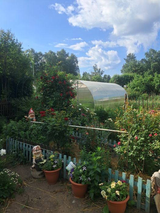 Продам дачу со Горизонт