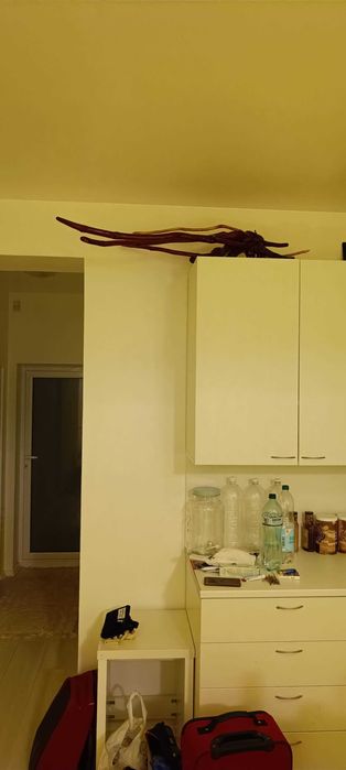 Голяма дървена скулптура от корен - коренопластика Октопод, ръчна изработка 120 см
