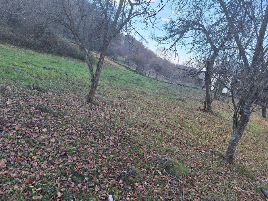 Vand Teren Com Valea Iasului