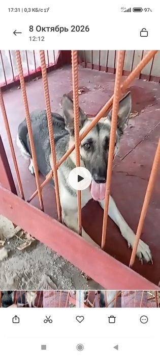 Продам.   срочно