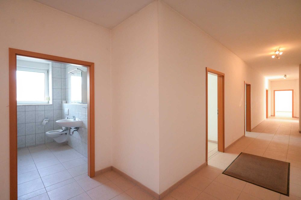 Complex Industrial si Rezidential De Lux – Viseu de Sus.