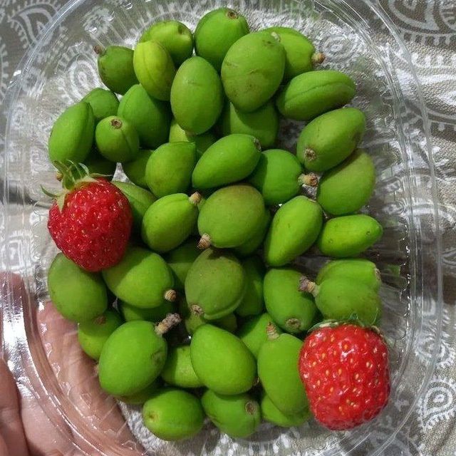 Dovcha bor kok sulton bor guloz bor qulupney bor