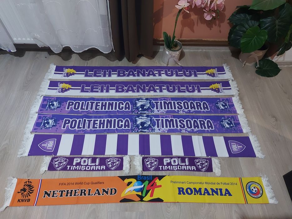 Fulare Poli Timisoara si Romania-Olanda 2014