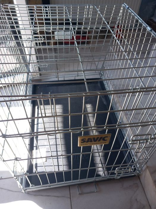 Cusca pliabila animale pasari