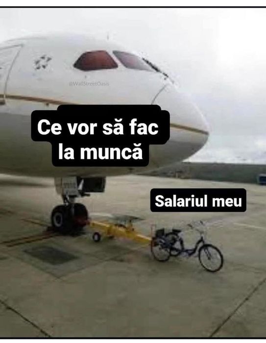 CV,  Scrisoare de intenție, consultanță