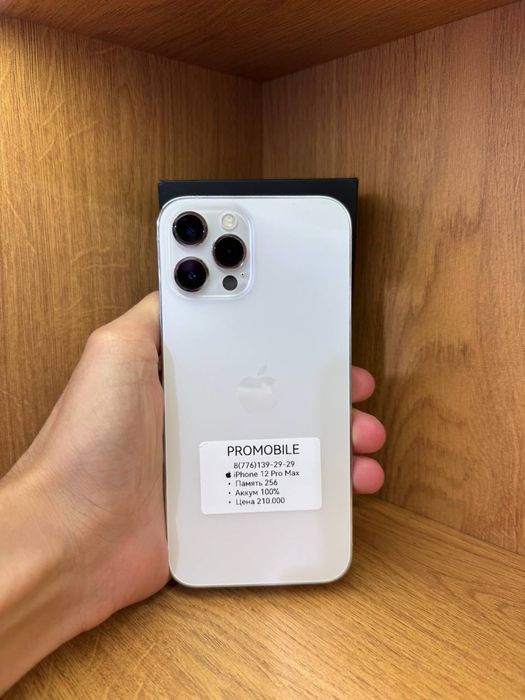 IPhone 12 Pro Max 256gb 100%