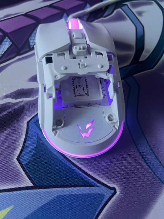 Ardor Gaming Immortality