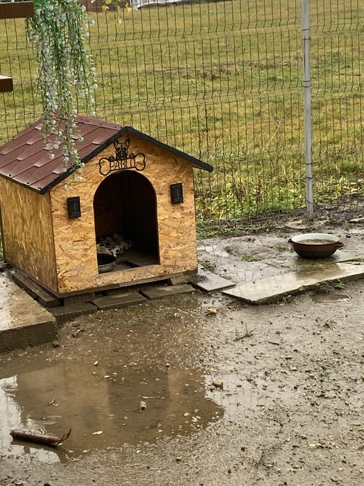 Cusca mare facuta cu drag si nefolosita