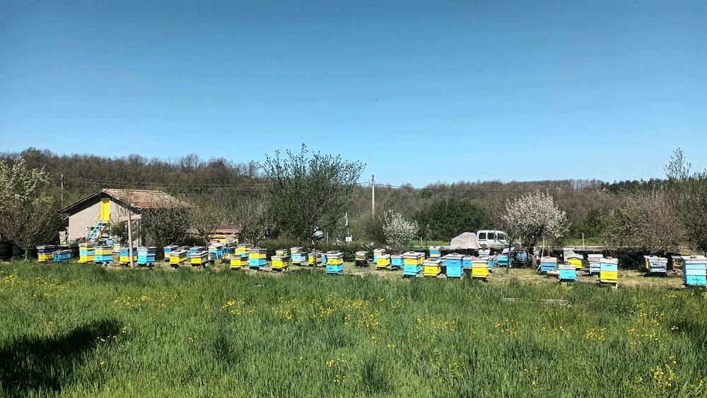 Къща в село Стойново, Община Антоново