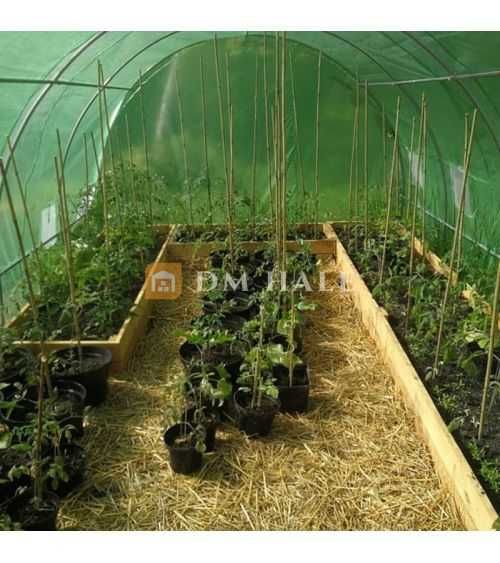 PROMO Оранжерия - парник SOLE TERRA 300x200x200cm 199 лв