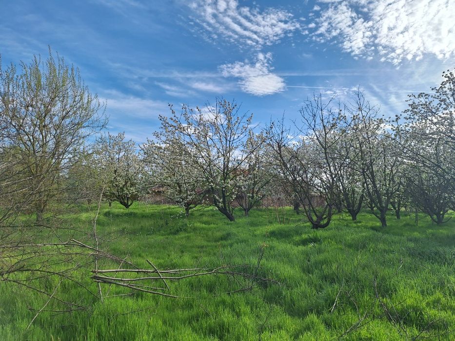 Продава се Земеделски имот в с. Дядово, Област Сливен -  кв.м за 3978 €/дка - Снимка #3