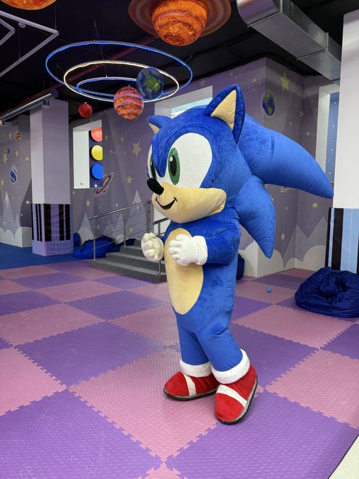 Ростовые куклы Костанай СОНИК