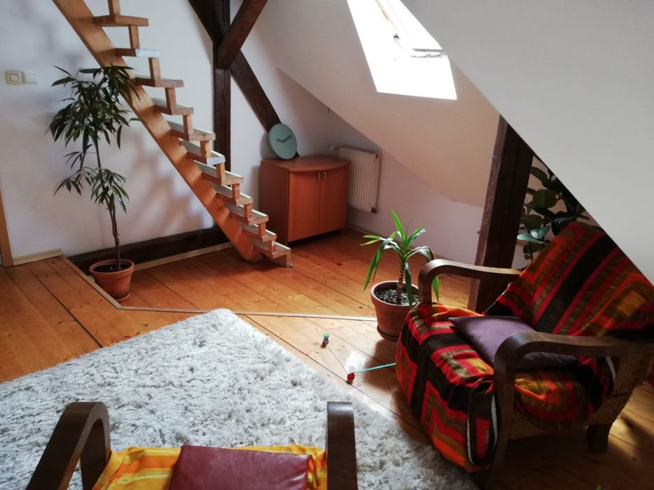 Închiriez apartament  4 camere 3 dormitoare, Pet Friendly, strada Bul Victor Babeș