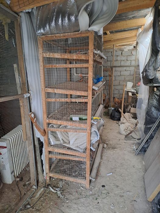 Бедана клетка сотилади