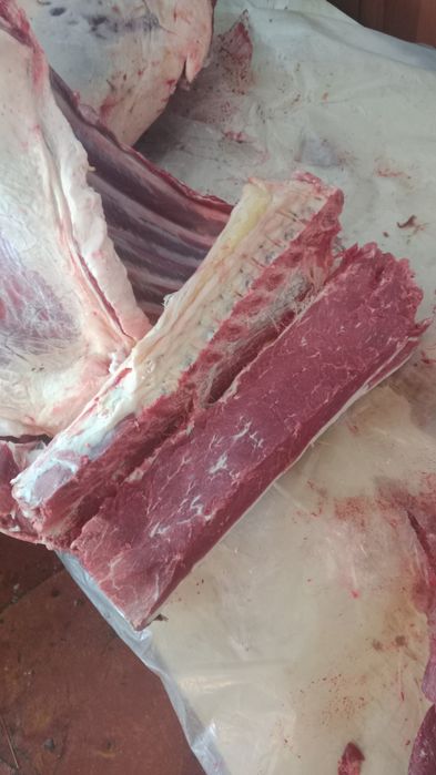 Мясо конины халал