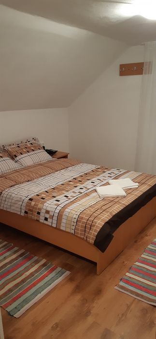 Inchiriez Cabana -  Boga Padis