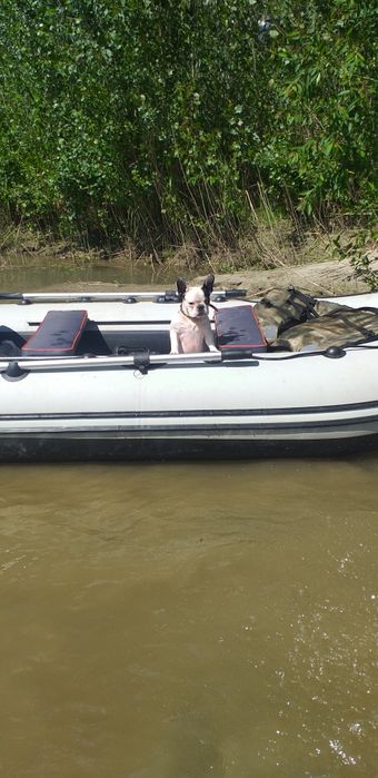 Лодка Ривьера 3200