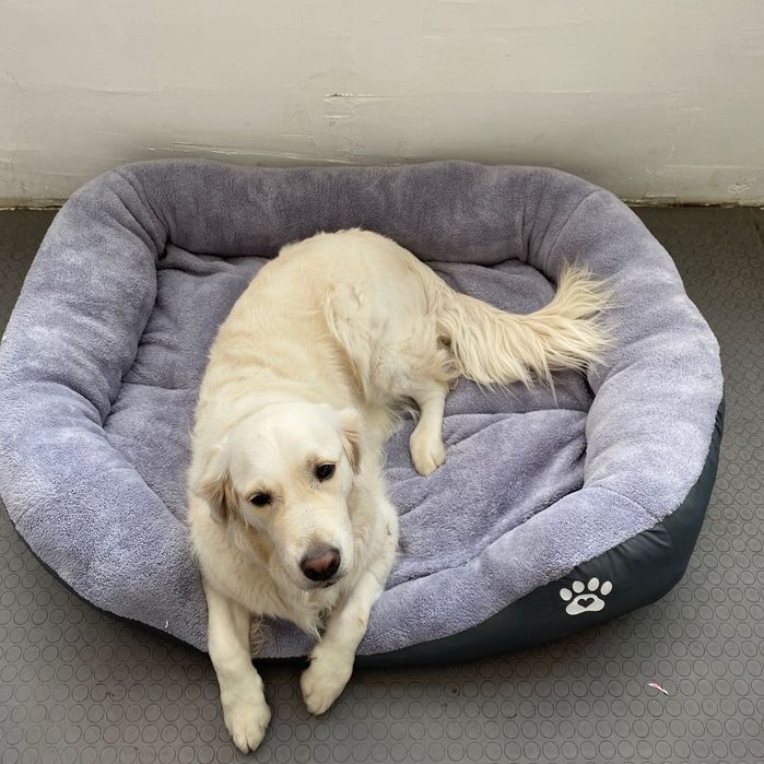 Легло за голямо куче с лапичка ХХЛ черен