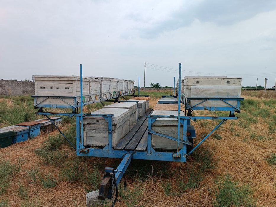Продается Пчеловодный прицеп