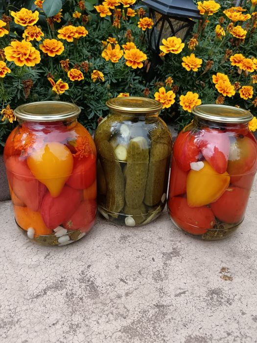 Продам Соленье дачные!