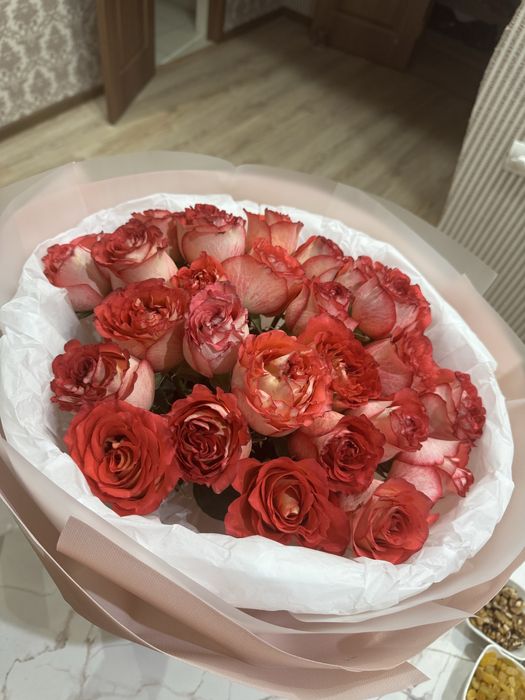 Продам цветы розы