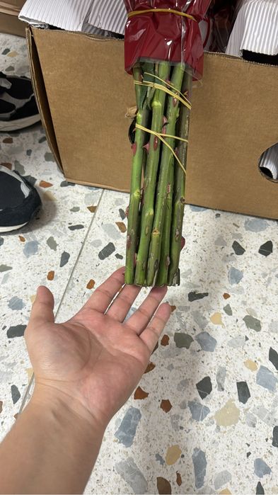 Розы  оптом