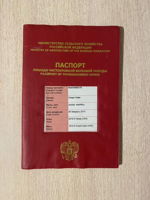 Лошадь Жеребец Производитель