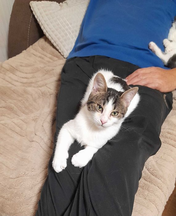 Мони търси дом и добри стопани!