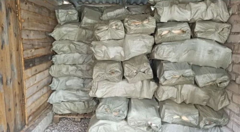 Дрова в мешках на растопку