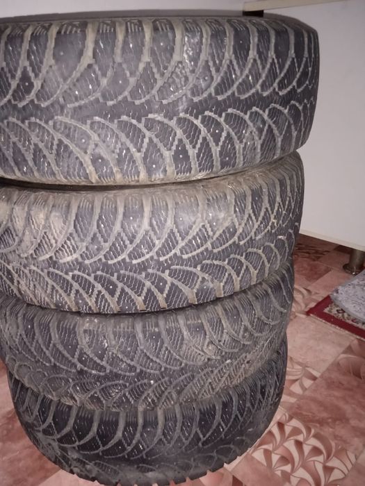 Шины зимные шины